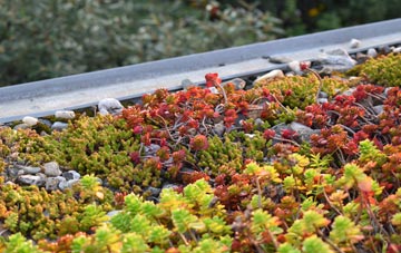 the cost of Denbigh green roof installation