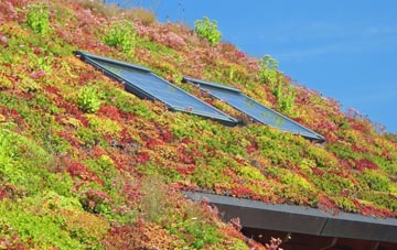 Denbigh living roof systems